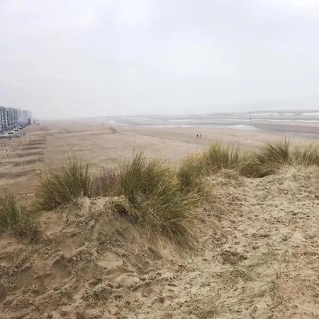 아파트 By St Andre Dunes And Sea, Cleaning Included *