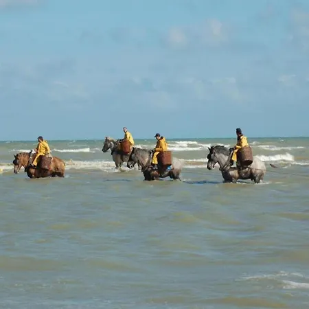 شقة By St Andre Dunes And Sea, Cleaning Included كوكسيجدي